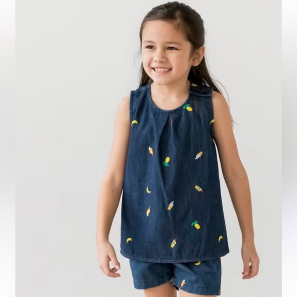 Hanna Andersson Chasing Summer Chambray Embroidered Popover Top Size 160cm 14-16 - Picture 4 of 7